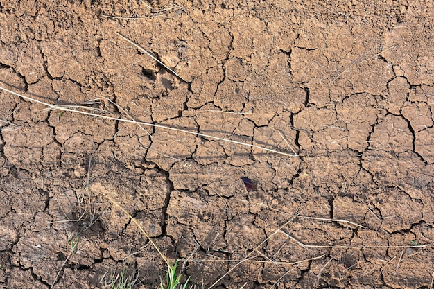Trama del terreno incrinata di fango secco Sfondo della stagione di siccità Terra secca e screpolata secca a causa della mancanza di pioggia Effetti del cambiamento climatico
