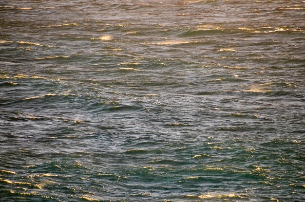 Trama Dettagliata Di Acqua Di Mare