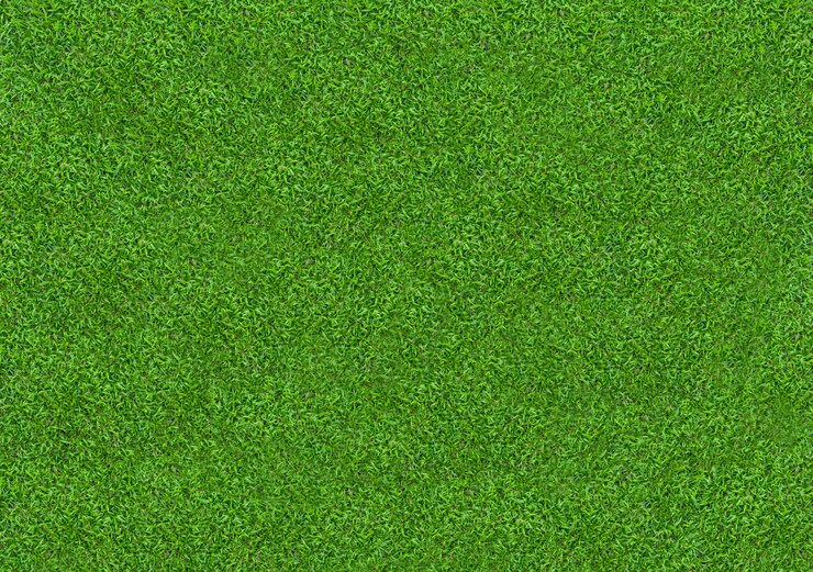 Foto trama di erba verde per lo sfondo. modello di prato verde e texture di sfondo