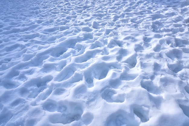 Trama di impronte di neve nei Pirenei