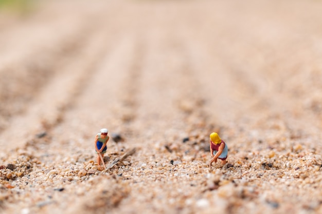 Trama di lavoro contadino nel deserto