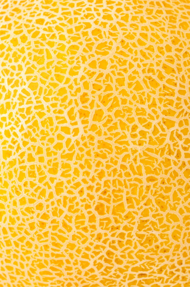 Trama di melone