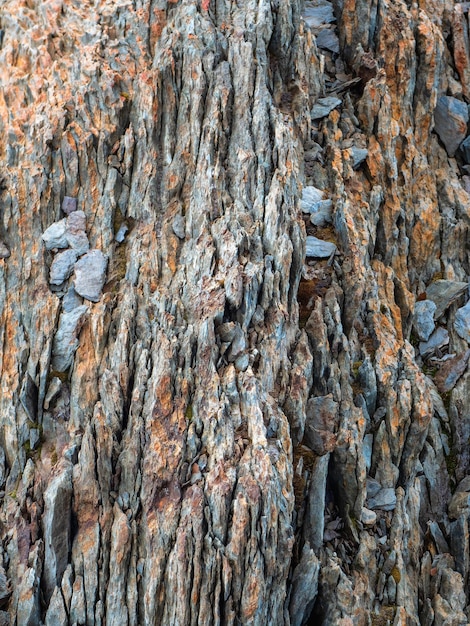 Trama di montagne. Sezione trasversale delle rocce. Strati verticali geologici. Strati colorati di pietre nella sezione del monte, diverse formazioni rocciose e strati di terreno. Vista verticale.