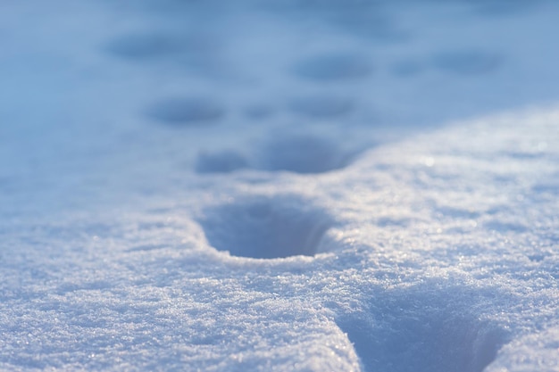 Trama di neve coltivabile Inverno bellissimo sfondo bianco