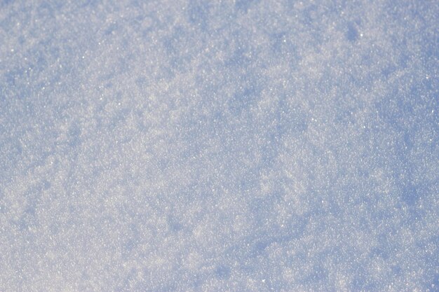 trama di neve con primo piano in serata gelida