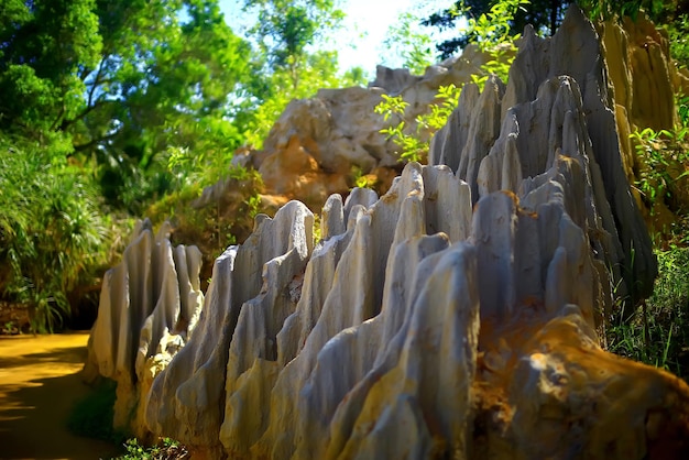 Trama di pietra in montagna