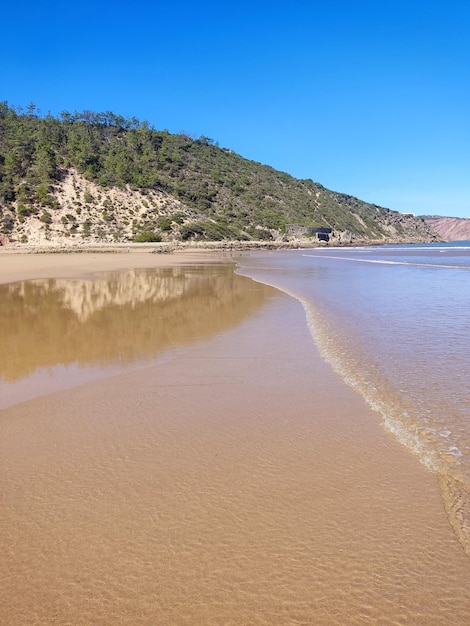 Trama di sabbia bagnata della spiaggia Fondo beige della riva sabbiosa Riva del mare pulita e vuota