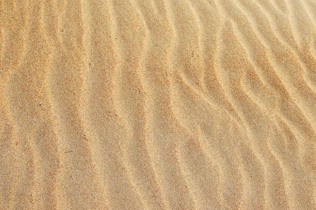 Trama di sabbia Spiaggia sabbiosa per lo sfondo Vista dall'alto Sfondo con texture in pietra di sabbia naturale