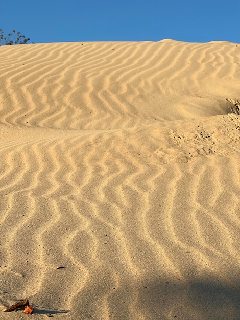 Trama di sabbia Spiaggia sabbiosa per lo sfondo Vista dall'alto