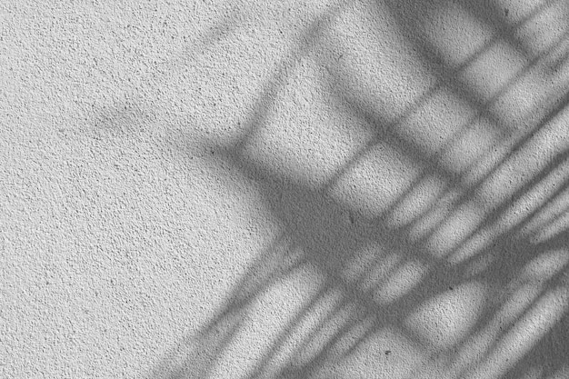Trama di sfondo astratto bianco e nero di foglie di ombre su un muro di cemento.