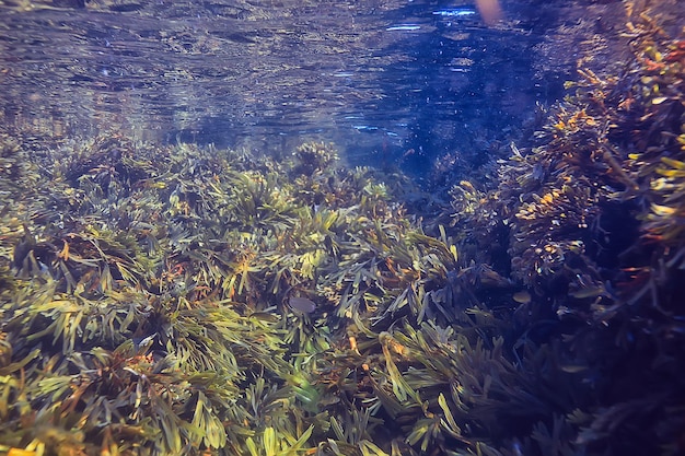 trama di sfondo blu flusso della superficie dell'acqua, superficie dell'acqua astratta