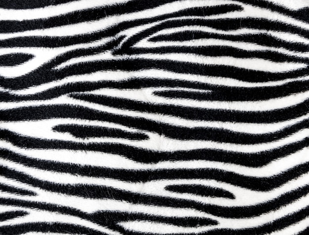 Trama di sfondo di pelliccia di zebra