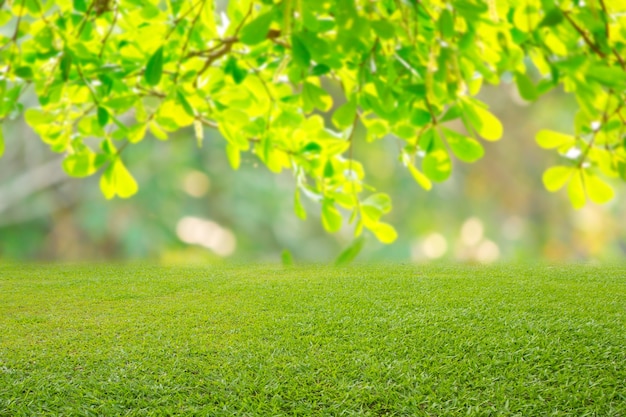 trama di sfondo erba primavera natura