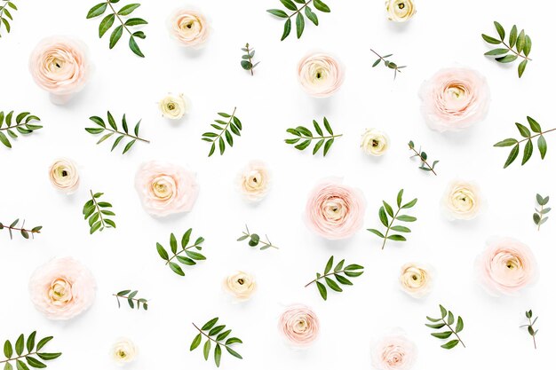 Trama di sfondo floreale fatta di boccioli di fiori di ranuncolo rosa e rami di eucalipto su sfondo bianco