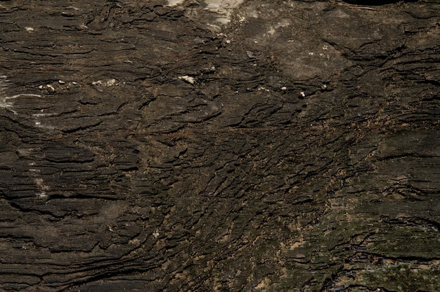 Trama di sfondo in legno nero