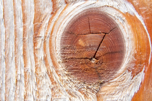 Trama di sfondo. La superficie della tavola bordata con un nodo sul taglio. La struttura dell'albero.