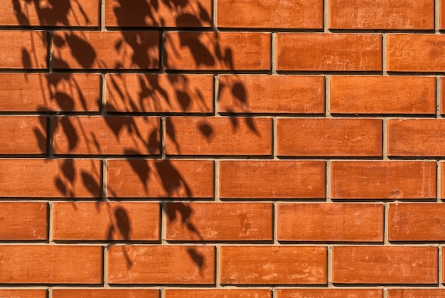 trama di un muro di mattoni rossi illuminati dal sole con l'ombra di un albero.