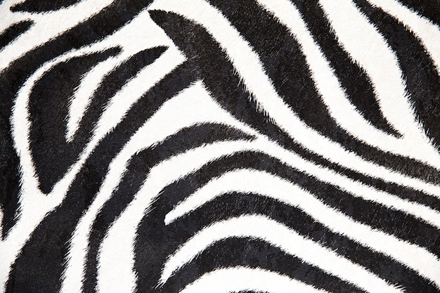 Trama zebra