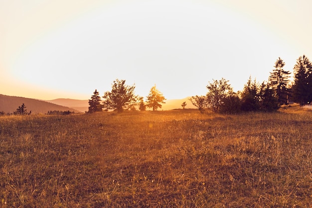 Tramonto all'orizzonte sopra il prato sul paesaggio rurale dell'azienda agricola