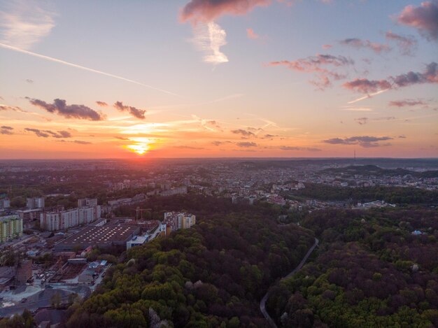 Tramonto arancione sopra le corone degli alberi di vista aerea della città