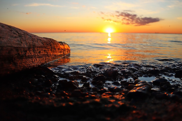 Tramonto arancione sul fiume con un tronco e una piccola onda