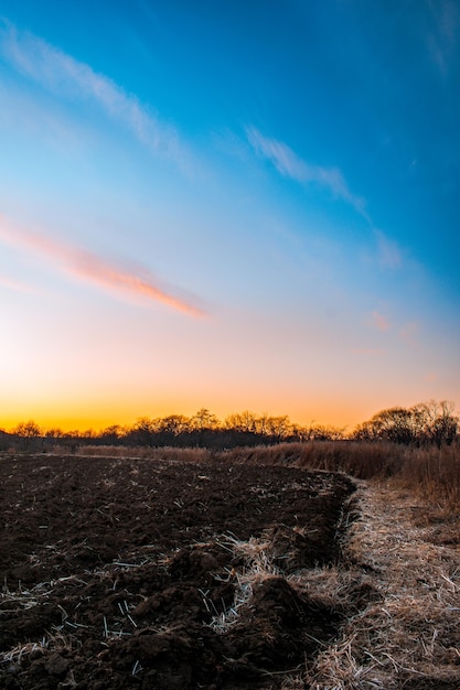 Tramonto autunnale su un campo con erba secca Il cielo è colorato dai raggi del sole durante il tramonto