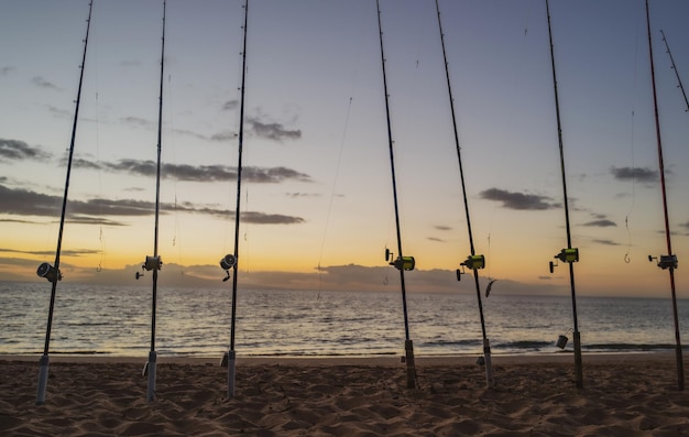 Tramonto colorato con canna da pesca sull'oceano Silhouette di persone e canne da pesca