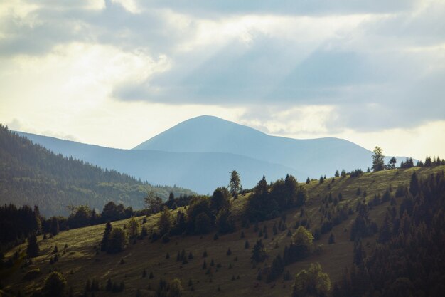 Tramonto colorato in cima alla montagna ucraina