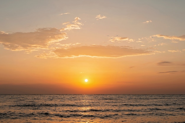 Tramonto colorato su una spiaggia di sabbia, onde con schiuma sulla sabbia. Oceano, costa.