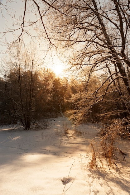 Tramonto con sfumature arancioni nella stagione invernale