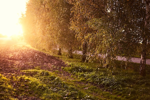 Tramonto d&#39;autunno