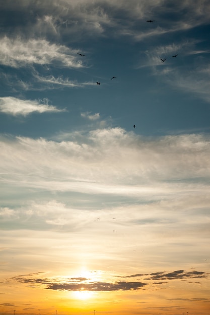 Tramonto della città, alba sul mare sole oceano