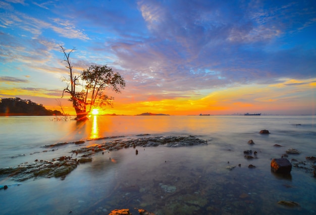 Tramonto di bellezza e albero di magrovie sulla spiaggia di Tanjung Pinggir