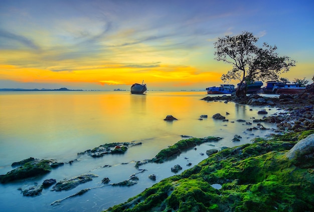 Tramonto di bellezza e albero di magrovie sulla spiaggia di Tanjung Pinggir