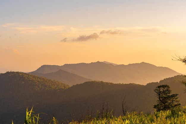 Tramonto di punto di vista dell'angolo alto sopra le montagne e la foresta