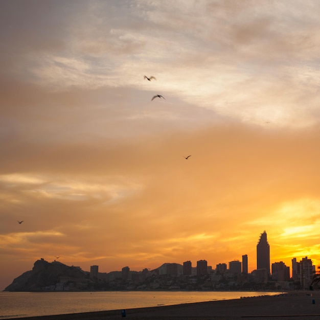 Tramonto dorato nella spiaggia di Poniente a Benidorm, Spagna