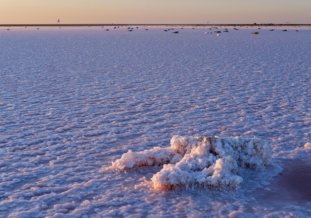 Tramonto Genichesk lago salato rosa Ucraina