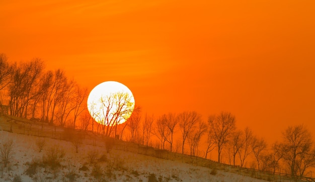 tramonto grande sole sulla collina