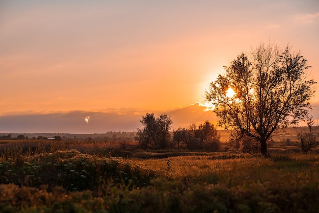 Tramonto in campagna Paesaggi rurali