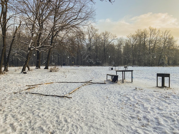 Tramonto in inverno nel parco innevato Concetto di stagione e tempo freddo