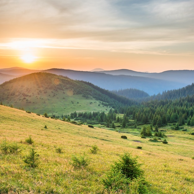 Tramonto in montagna con foresta, erba verde e grande sole splendente sul cielo drammatico