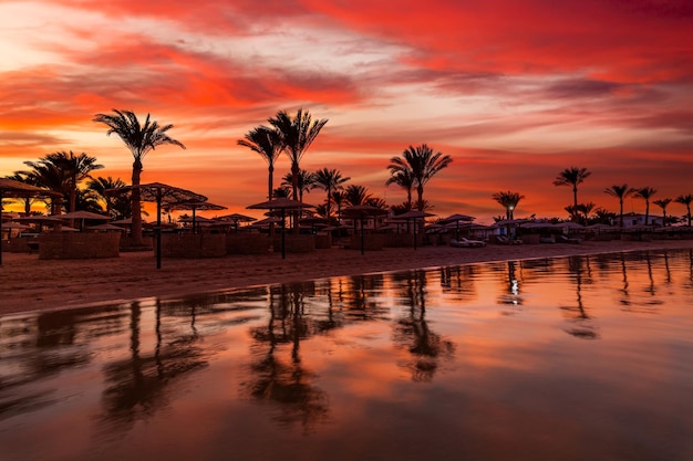 Tramonto in spiaggia con palme, ombrelloni e lettini