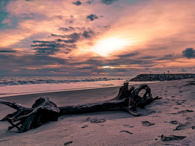 Tramonto in spiaggia con vecchio tronco d'albero