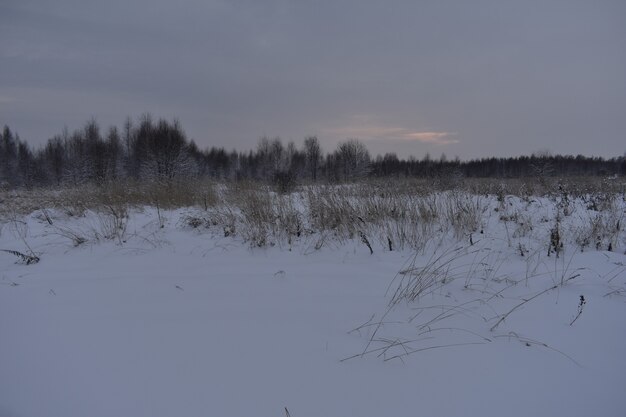 Tramonto in un campo innevato in inverno