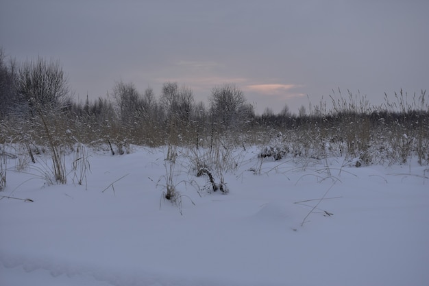 Tramonto in un campo innevato in inverno