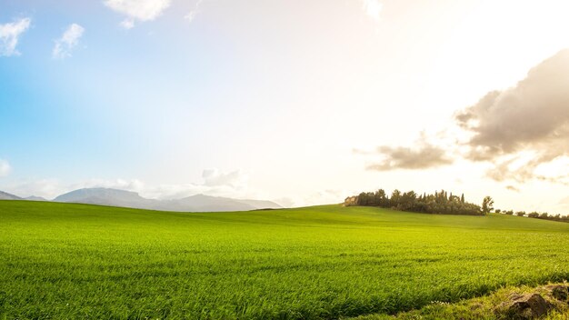 Tramonto in un campo verde con una casa sullo sfondo