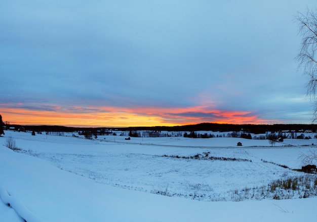 Tramonto invernale paesaggio con cielo drammatico in Svezia nord scandinavo stagionale hipster sfondo