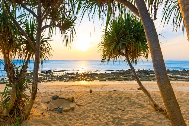 Tramonto mare e spiaggia con palme da cocco
