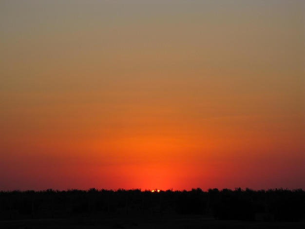 Tramonto nel deserto a