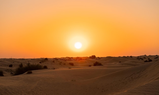 Tramonto nel deserto con dune vuote a Dubai o Abu Dhabi Emirati Arabi Uniti